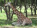 Kids_FossilRim (112)